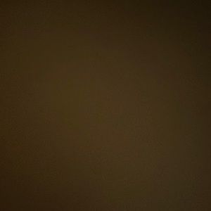 Meet your Posher, Eva